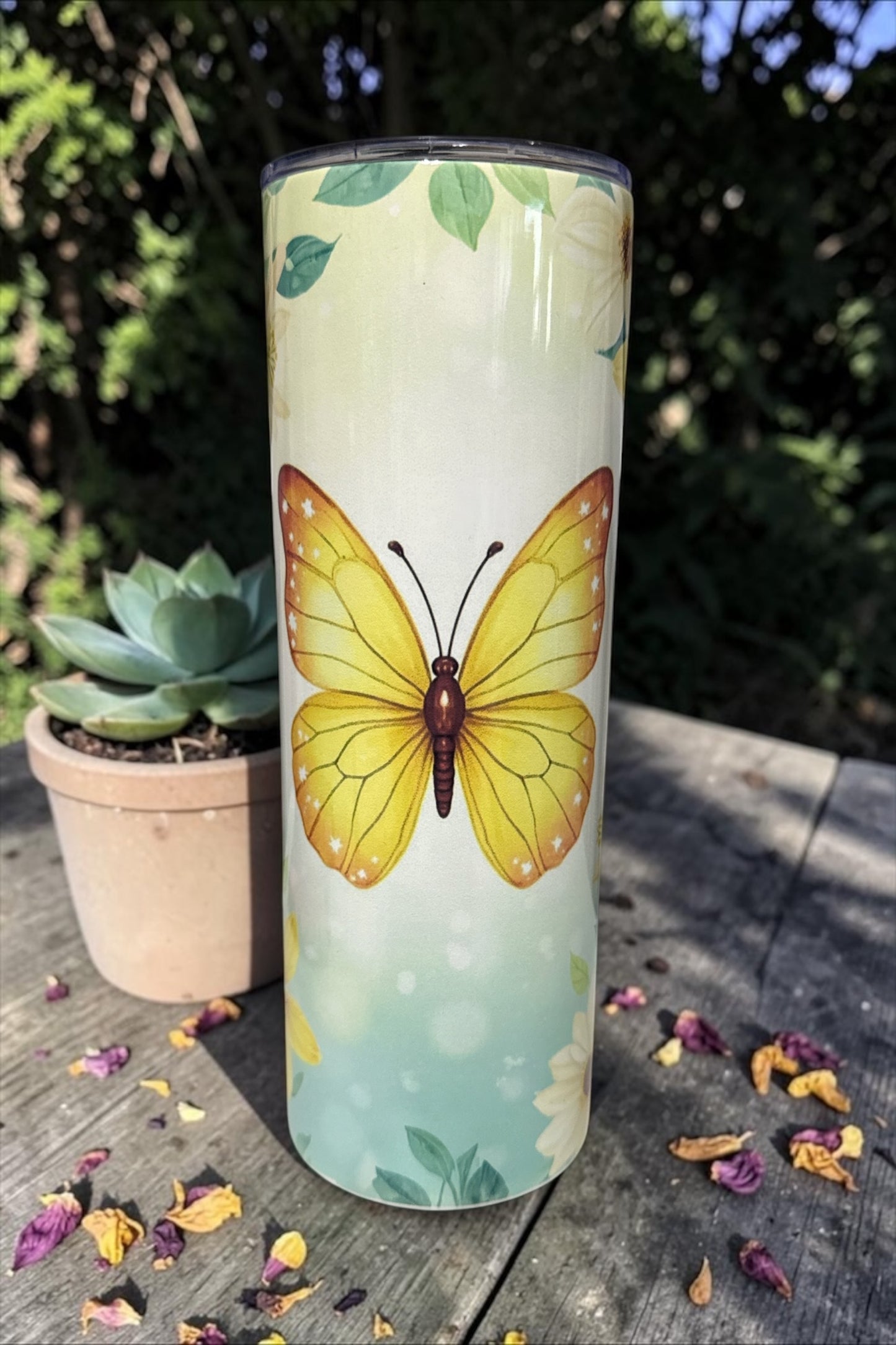 Spring Butterlies